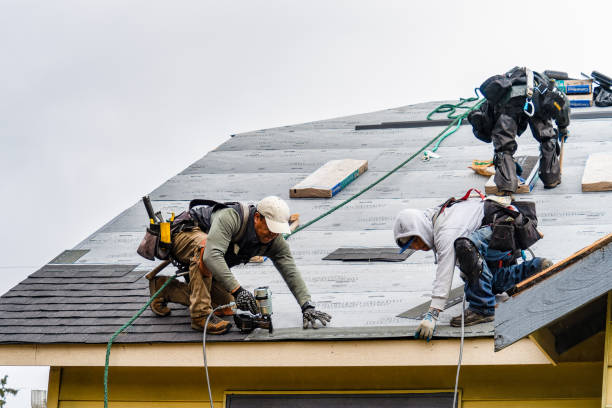 Professional Storm Damage Roof Repair technician working in Saratoga, WY